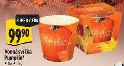 Albert Pumpkin nabídka