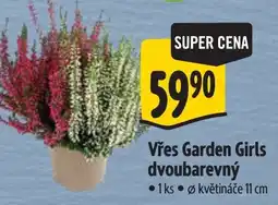 Albert Vřes Garden Girls dvoubarevný nabídka