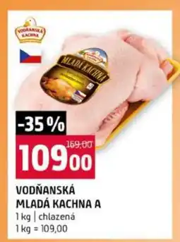 Terno VODŇANSKÁ MLADÁ KACHNA A nabídka