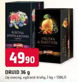 Trefa Druid čaj ovocný nabídka