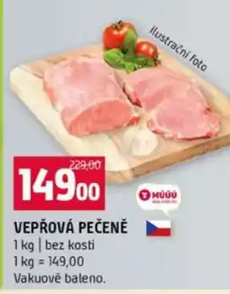 Terno VEPŘOVÁ PEČENĚ nabídka