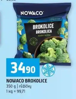 Terno NOWACO BROKOLICE nabídka