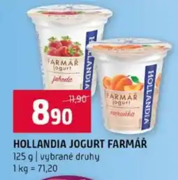 Terno HOLLANDIA JOGURT FARMÁŘ nabídka