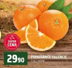Terno POMERANČE VALENCIE nabídka