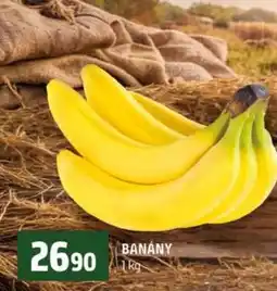Terno Banány nabídka