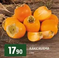 Terno KAKICHURMA nabídka