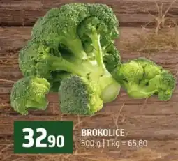 Terno Brokolice nabídka