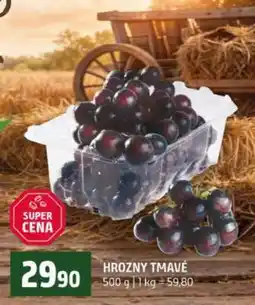 Terno Hrozny tmavé nabídka
