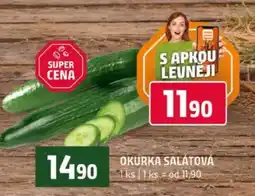 Terno OKURKA SALÁTOVÁ nabídka