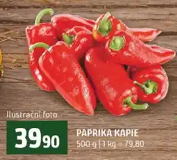 Terno Paprika kapie nabídka