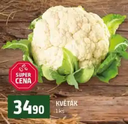 Terno Květák nabídka