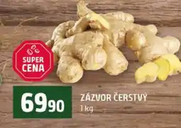 Terno ZÁZVOR ČERSTVÝ nabídka