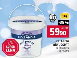 Terno HOLLANDIA BÍLÝ JOGURT nabídka