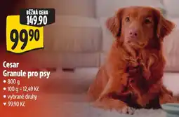 Albert Cesar Granule pro psy nabídka