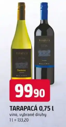 Trefa Tarapacá vino, vybrané druhy nabídka