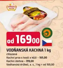 Trefa Vodňanská kachna nabídka