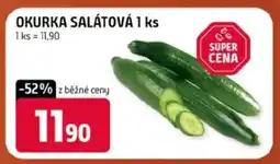 Terno OKURKA SALÁTOVÁ 1 ks nabídka