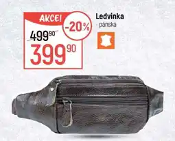 Globus Ledvinka pánská nabídka
