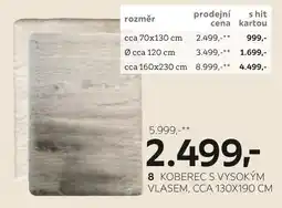 XXXLutz Koberec s vysokým vlasem nabídka