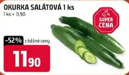 Terno Okurka salátová nabídka