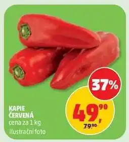 Penny Market KAPIE ČERVENÁ nabídka
