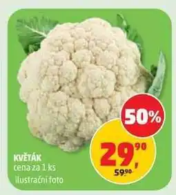 Penny Market Květák nabídka