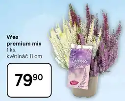 Tesco Vřes premium mix nabídka