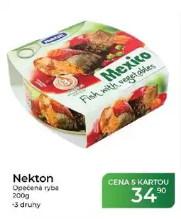 Tamda Foods Nekton fish with vegetables nabídka