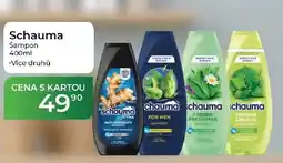 Tamda Foods Schauma šampon nabídka