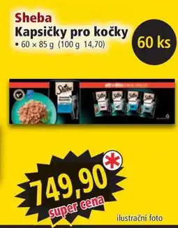 Norma Sheba kapsičky pro kočky nabídka