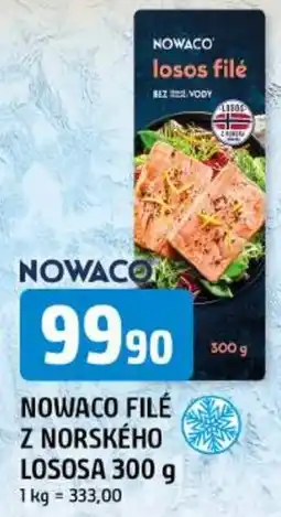 Trefa Nowaco losos filé nabídka