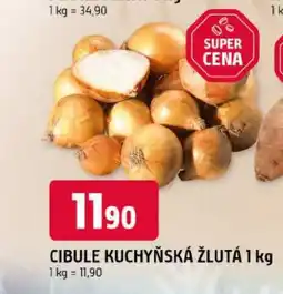 Trefa Cibule kuchyňská žlutá nabídka
