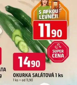 Trefa Okurka salátová nabídka