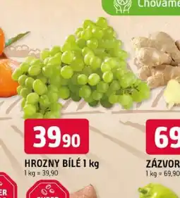 Trefa Hrozny bílé nabídka