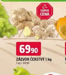 Trefa Zázvor čerstvý nabídka