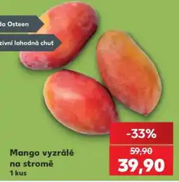Kaufland Mango vyzrálé na stromě nabídka