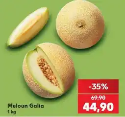 Kaufland Meloun Galia nabídka
