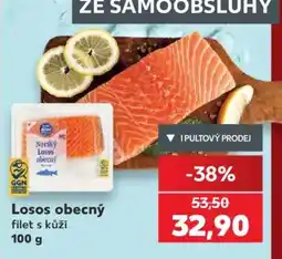 Kaufland LOSOS OBECNÝ nabídka