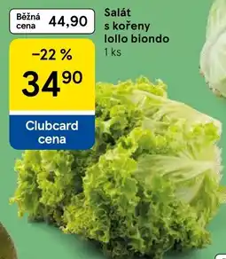 Tesco Salát s kořeny lollo biondo nabídka