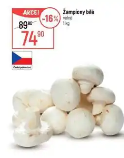 Globus Žampiony bílé nabídka