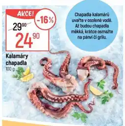 Globus Kalamáry chapadla nabídka