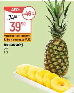 Globus Ananas velký nabídka