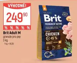 Globus Brit Adult M nabídka