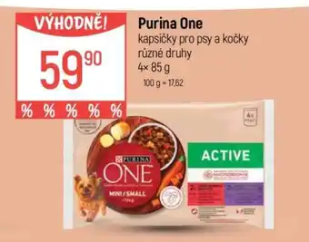 Globus Purina One nabídka