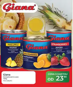 Tamda Foods Giana kompotované ovoce nabídka