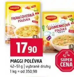 Terno MAGGI POLÉVKA 42-51 g vybrané druhy nabídka
