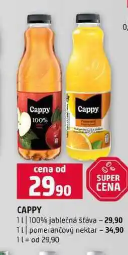 Terno Cappy 100% jablečná šťáva 1l pomerančový nektar nabídka