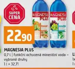 Terno MAGNESIA PLUS 0,7l funkční ochucená minerální voda vybrané druhy nabídka