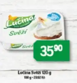 Brněnka Lucina Svezi nabídka