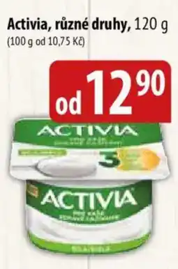 Bala Activia nabídka